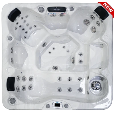 Costa-X EC-749LX hot tubs for sale in Wheaton