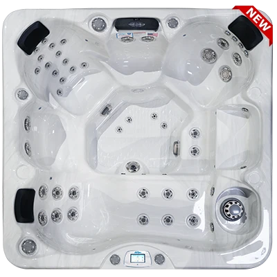 Avalon-X EC-849LX hot tubs for sale in Wheaton